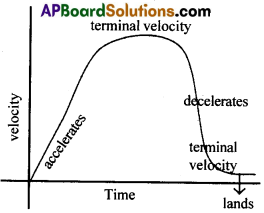 AP Inter 1st Year Physics Important Questions Chapter 3 సరళరేఖాత్మక గమనం 7