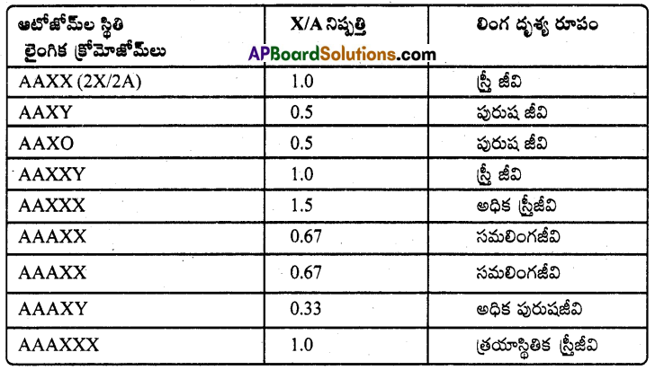 AP Inter 2nd Year Zoology Important Questions Chapter 6 జన్యు శాస్త్రం 6