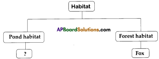 TS 6th Class Science Bits 6th Lesson Habitat Important 1