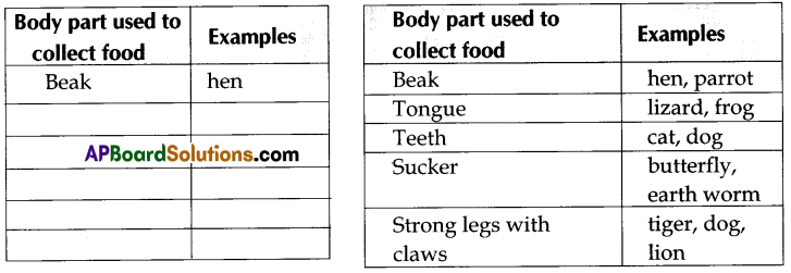 TS 6th Class Science Guide 4th Lesson What Do Animals Eat1