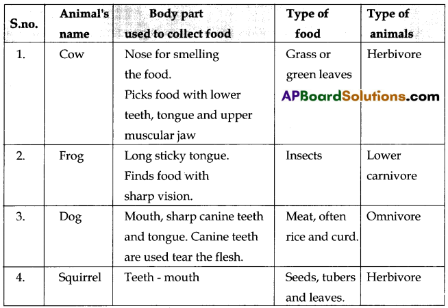 TS 6th Class Science Important Questions 4th Lesson What Do Animals Eat 1