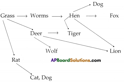 TS 6th Class Science Important Questions 4th Lesson What Do Animals Eat 6