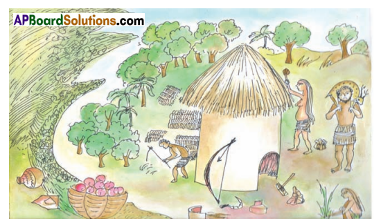 TS 6th Class Social Study Material 6th Lesson From Gathering Food to Growing Food - The Earliest People 2