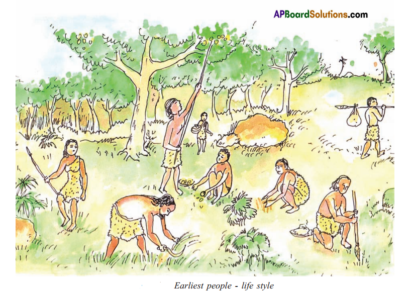 TS 6th Class Social Study Material 6th Lesson From Gathering Food to Growing Food - The Earliest People 5