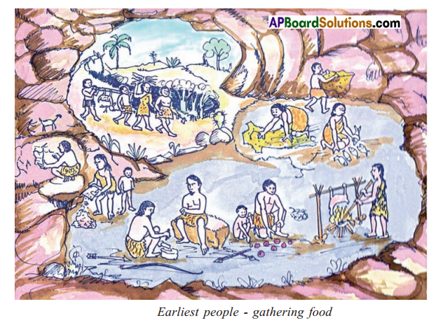 TS 6th Class Social Study Material 6th Lesson From Gathering Food to Growing Food - The Earliest People 6