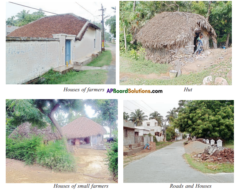 TS 6th Class Social Study Material Lesson 3B Penamakuru - A Village in the Krishna Delta 3