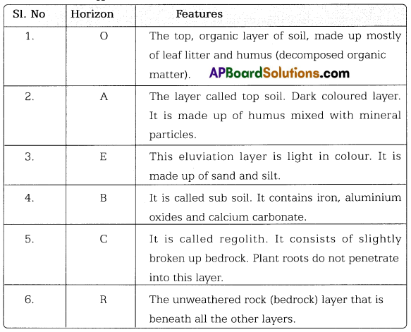 TS 7th Class Science Important Questions 15th Lesson Soil Our Life 1