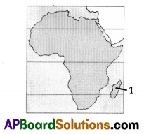 TS 7th Class Social Study Material 6th Lesson Africa 14