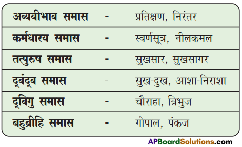 TS 9th Class Hindi Guide 7th Lesson मेरा जीवन 1