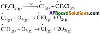 AP Inter 1st Year Chemistry Important Questions Chapter 12 Environmental Chemistry 3