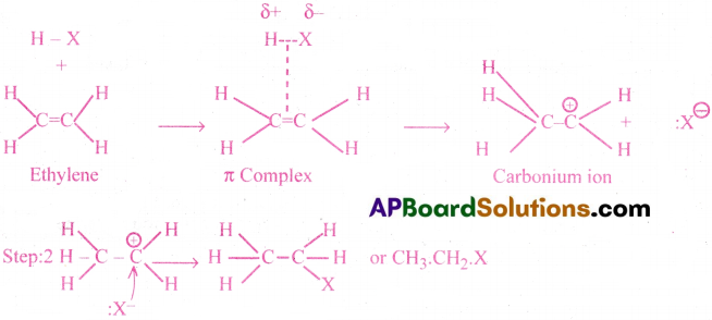 AP Inter 1st Year Chemistry Important Questions Chapter 13 Organic Chemistry-Some Basic Principles and Techniques 102