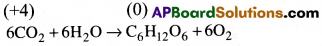 AP Inter 1st Year Chemistry Important Questions Chapter 8 హైడ్రోజన్ – దాని సమ్మేళనాలు 3
