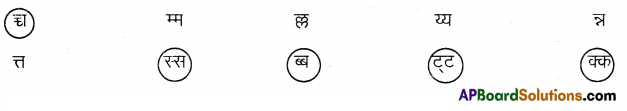 TS 6th Class Hindi Guide 10th Lesson चुक्की और जब्बार 13