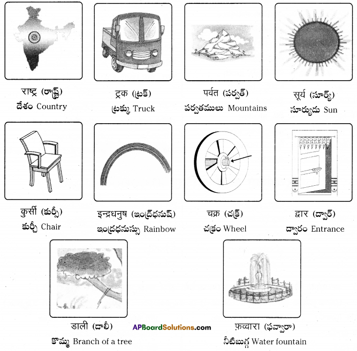 TS 6th Class Hindi Guide 11th Lesson उद्यान 15