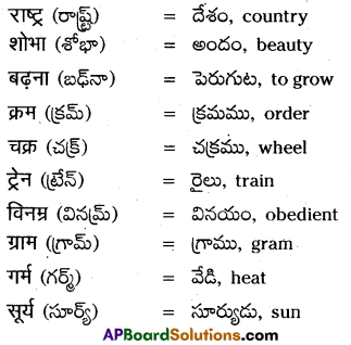 TS 6th Class Hindi Guide 11th Lesson उद्यान 17