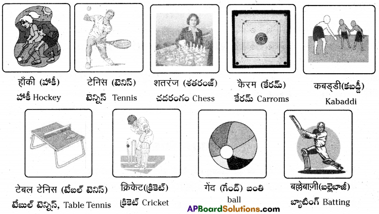 TS 6th Class Hindi Guide 12th Lesson बच्चे चले क्रिकेट खेलने 17