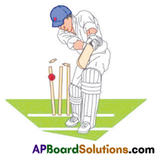 TS 6th Class Hindi Guide 12th Lesson बच्चे चले क्रिकेट खेलने 8