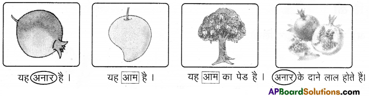 TS 6th Class Hindi Guide 1st Lesson आम ले लो आम! 14