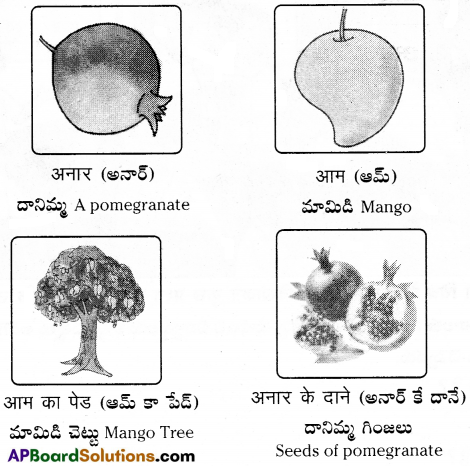 TS 6th Class Hindi Guide 1st Lesson आम ले लो आम! 24