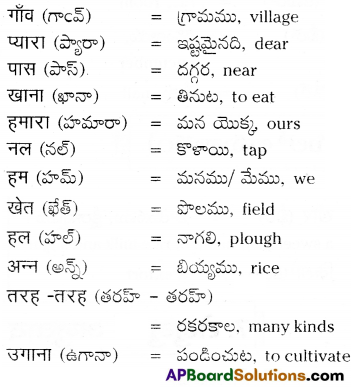 TS 6th Class Hindi Guide 2nd Lesson हमारा गाँव 17