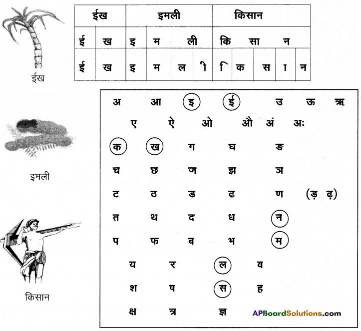 TS 6th Class Hindi Guide 2nd Lesson हमारा गाँव 3