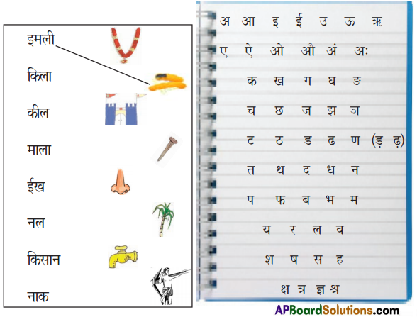 TS 6th Class Hindi Guide 2nd Lesson हमारा गाँव 5