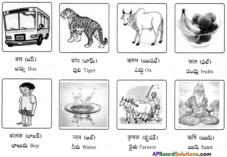 TS 6th Class Hindi Guide 4th Lesson बाज़ार 11