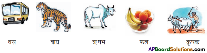 TS 6th Class Hindi Guide 4th Lesson बाज़ार 2