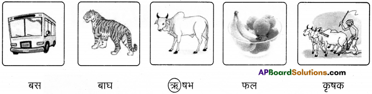 TS 6th Class Hindi Guide 4th Lesson बाज़ार 21