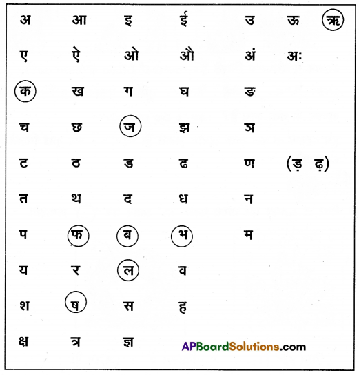 TS 6th Class Hindi Guide 4th Lesson बाज़ार 23