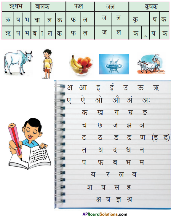 TS 6th Class Hindi Guide 4th Lesson बाज़ार 4
