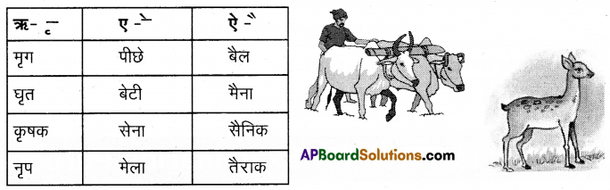 TS 6th Class Hindi Guide 5th Lesson मेरा परिवार 17