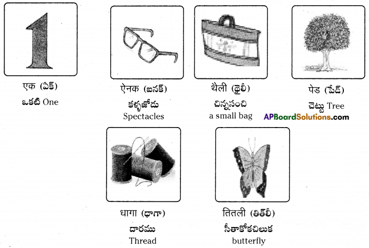 TS 6th Class Hindi Guide 5th Lesson मेरा परिवार 19