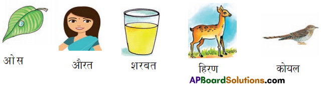 TS 6th Class Hindi Guide 6th Lesson चिड़ियाघर 1