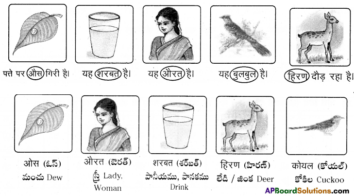 TS 6th Class Hindi Guide 6th Lesson चिड़ियाघर 17