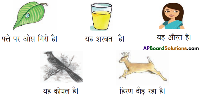 TS 6th Class Hindi Guide 6th Lesson चिड़ियाघर 2