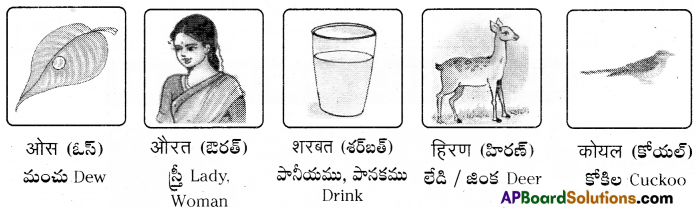 TS 6th Class Hindi Guide 6th Lesson चिड़ियाघर 27