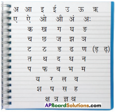 TS 6th Class Hindi Guide 6th Lesson चिड़ियाघर 4