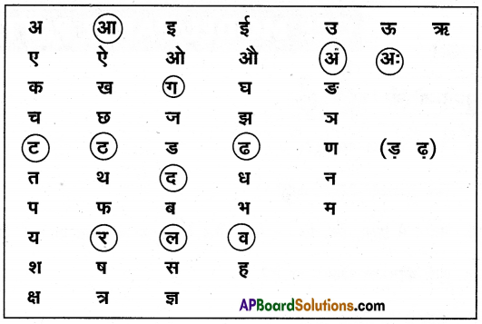 TS 6th Class Hindi Guide 7th Lesson मैदान 13