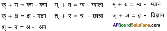 TS 6th Class Hindi Guide 8th Lesson बाल दिवस 11