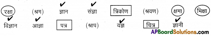 TS 6th Class Hindi Guide 8th Lesson बाल दिवस 18