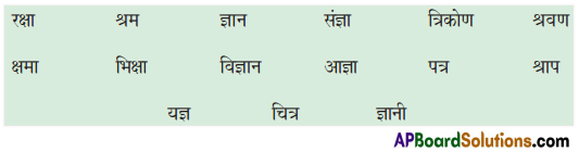 TS 6th Class Hindi Guide 8th Lesson बाल दिवस 2
