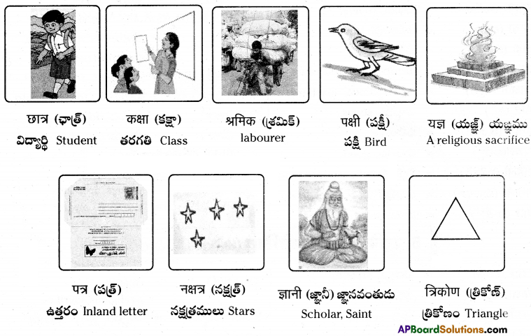 TS 6th Class Hindi Guide 8th Lesson बाल दिवस 9