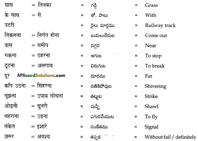 TS 7th Class Hindi Guide 11th Lesson साहसी सुनीता 5