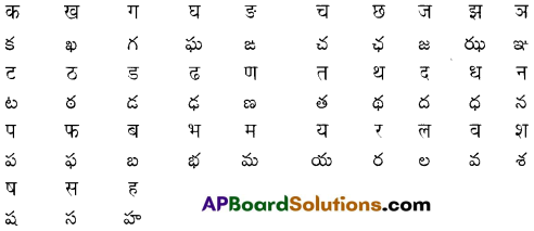 TS 8th Class Hindi Grammar Questions and Answers 2