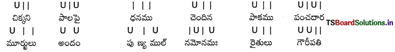 TS 8th Class Telugu Grammar వ్యాకరణం 5