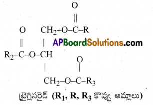 AP Inter 1st Year Botany Important Questions Chapter 10 జీవ అణువులు 7