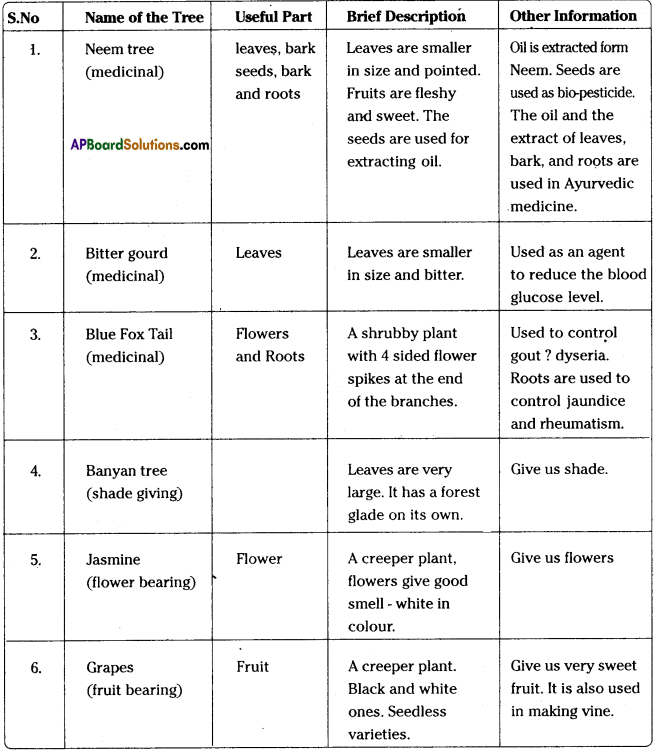 TS 6th Class English Guide 5B If a Tree Could Talk 1