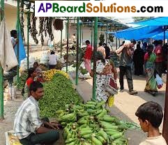 TS 6th Class Social Bits 8th Lesson Trade in Agricultural Produce Part 1 3
