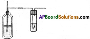 AP SSC Biology Model Paper Set 4 with Solutions 1